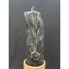 Klods til montering af orkide