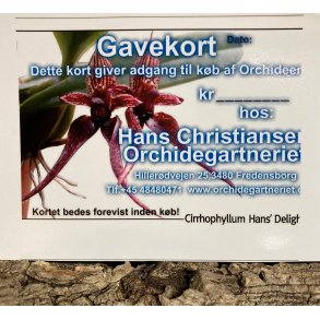 Gavekort
