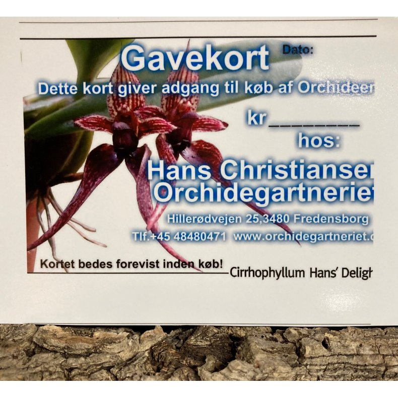 Gavekort