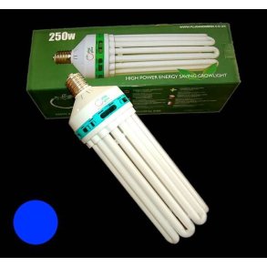 Plug & Grow 300W Sparepre / CFL - 6400K Kold hvid (BLUE)