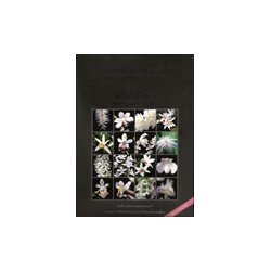 Thai Native Orchids 1 and 2